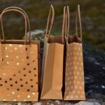 bag, paper bag, purchasing, shopping bag, empty, lie, close up, packaging, to buy, paper bag, paper bag, paper bag, paper bag, paper bag, shopping bag, shopping bag, shopping bag, shopping bag